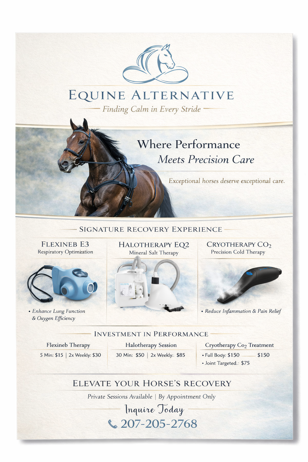 Recovery therapy offered by Equine Alternative Recovery
