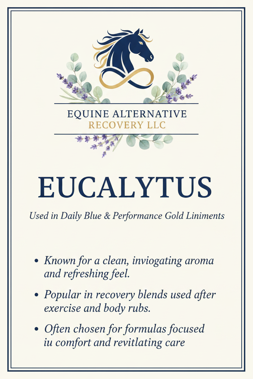 Eucalyptus Ingredient Card